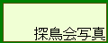 �T����ʐ^